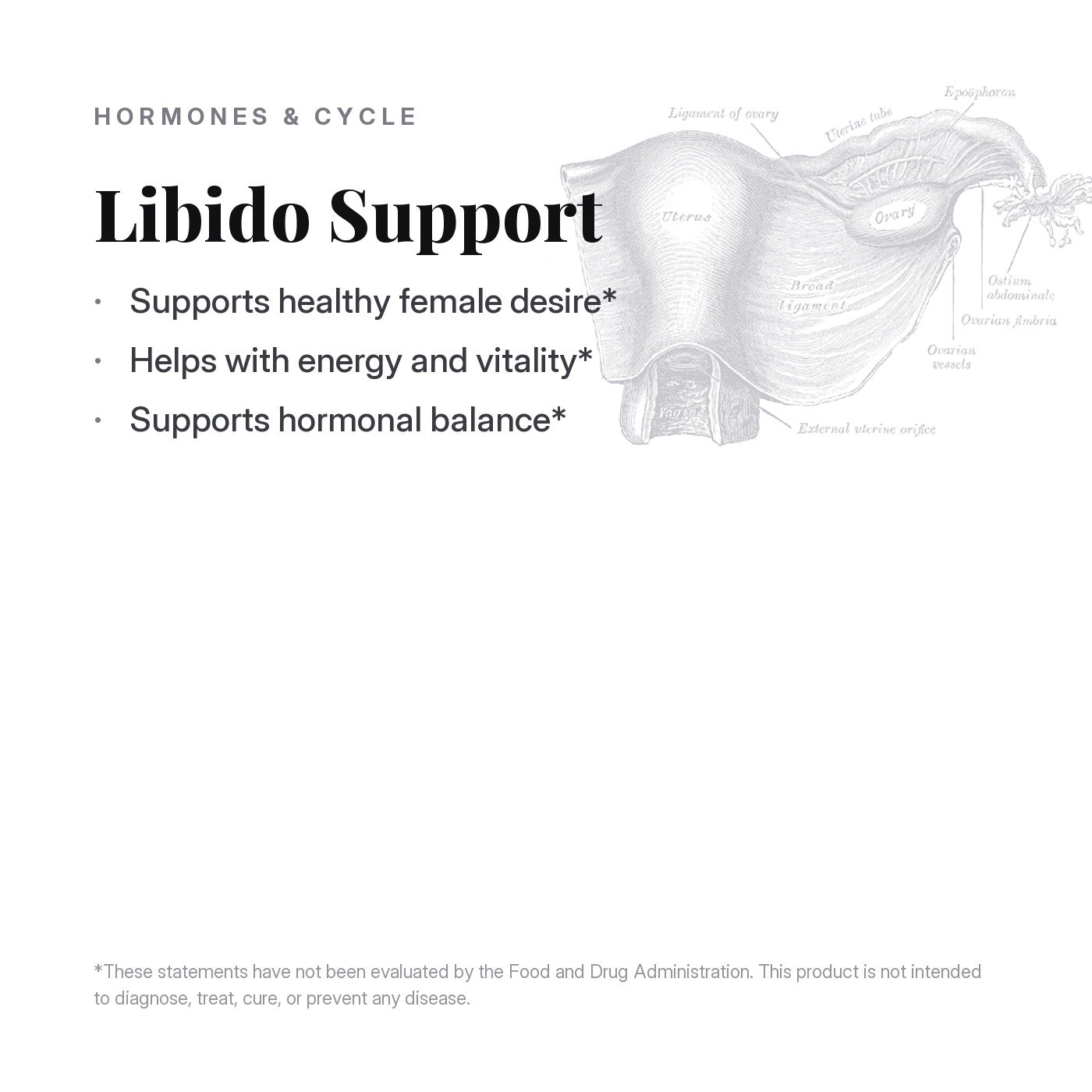 Libido Support, what it supports