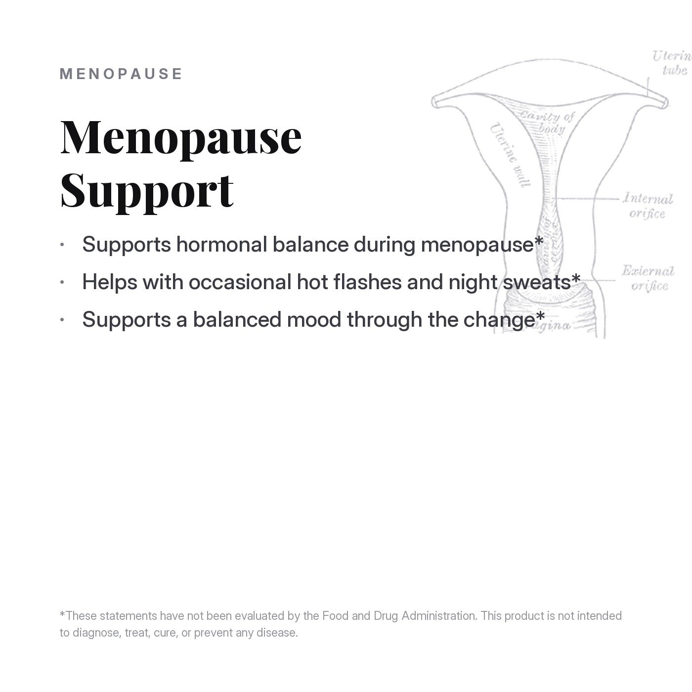 Menopause Support, what it supports
