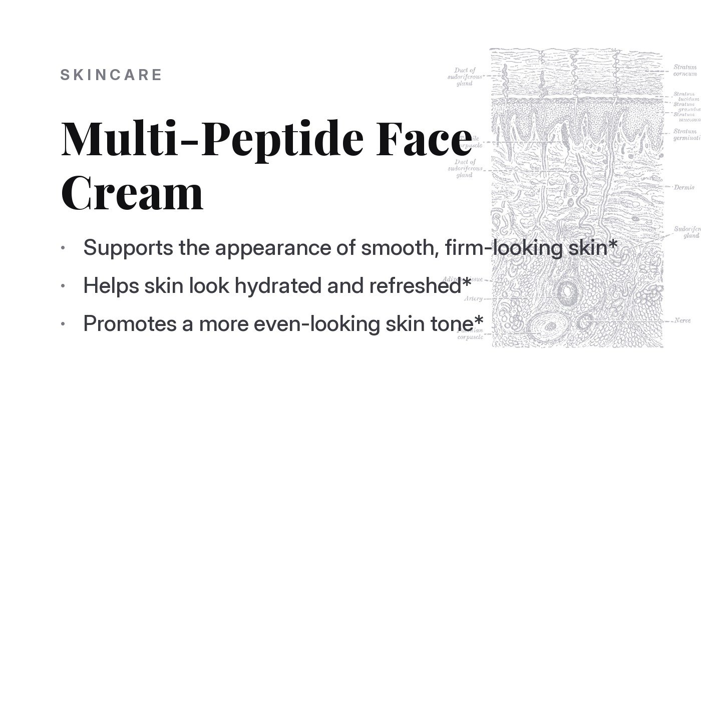 Multi-Peptide Face Cream, what it supports